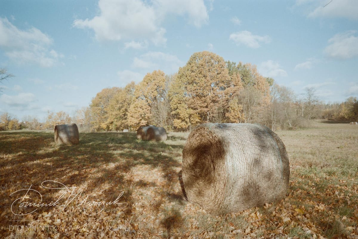 Autumn South of Olsztyn